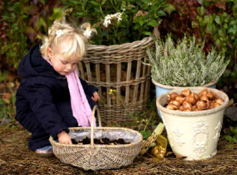 Croonenburg bloembollenactie