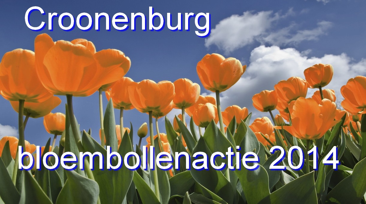 Bollenactie bij Croonenburg.