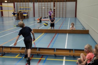 Funvolley2