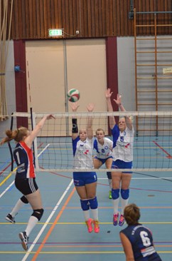 Winnie smasht 2015