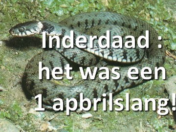 1 aprilslang